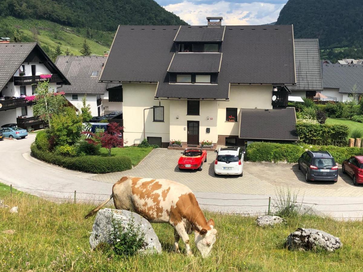 Apartment In The Heart Of Nature Бохин Екстериор снимка